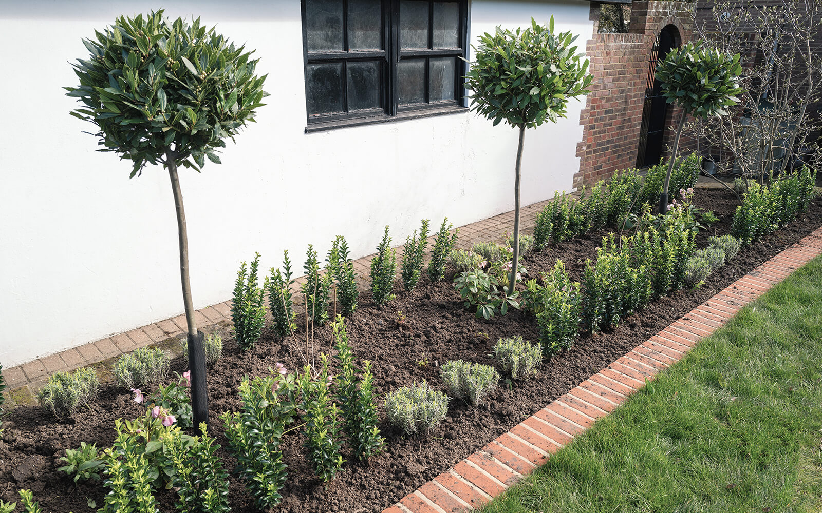 FDN Landscaping Work