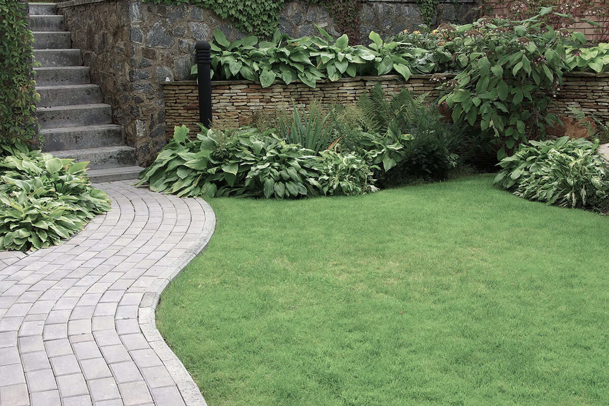 Welcome to FDN Landscaping
